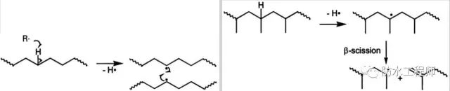 聚乙烯鏈段（左）和聚丙烯鏈段（右）不同傾向的自由基反應機理